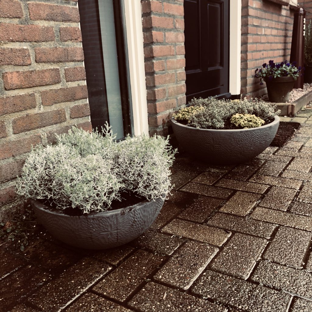 Parelmoervaas.nl; vazen, plantenbakken en grote - Huisje Blogje